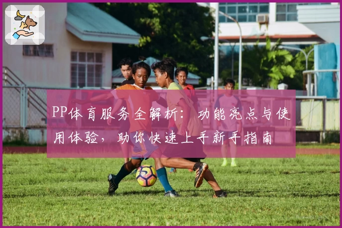 PP体育服务全解析：功能亮点与使用体验，助你快速上手新手指南