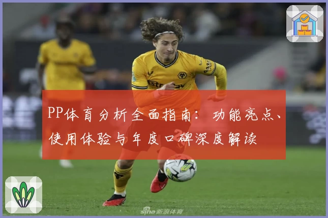 PP体育分析全面指南：功能亮点、使用体验与年度口碑深度解读